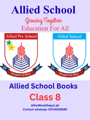 Allied School Class 8 Books