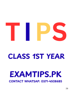 TIPS NOTES 1ST YEAR