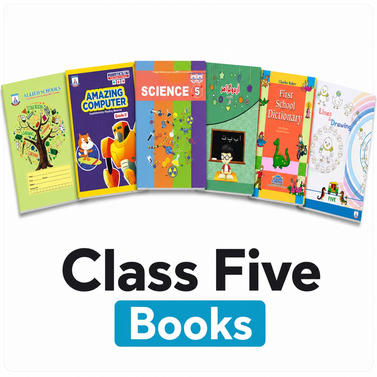 Class 5 Books
