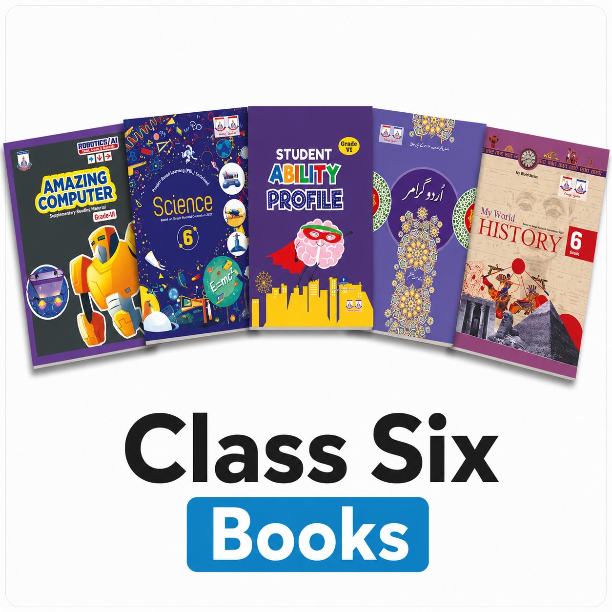 Class 6 Books