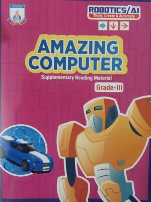 amazing computer grade 3 allied school